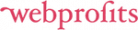 Web Profits